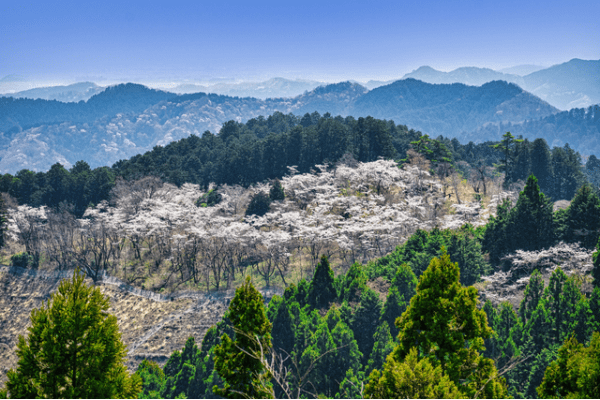 高尾山