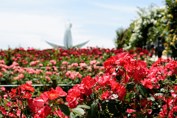 万博記念公園