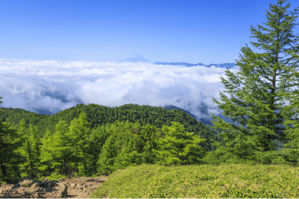 雲取山