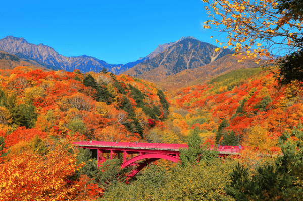 八ヶ岳