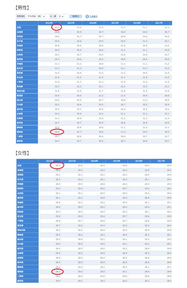 総務省統計の愛知県の平均初婚年齢データ